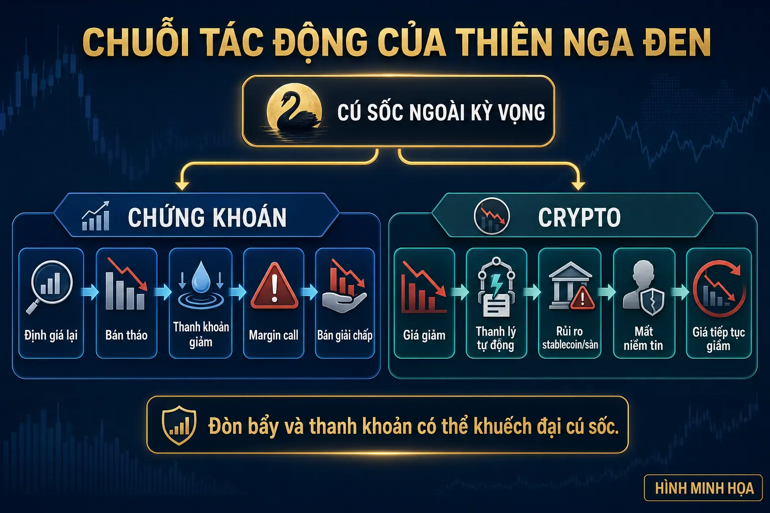 chuoi-tac-dong-thien-nga-den-ban-nhap