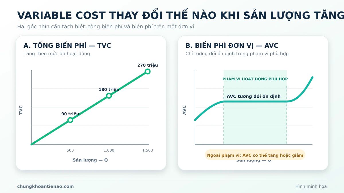 Biểu đồ tổng Variable Cost và biến phí đơn vị thay đổi theo sản lượng