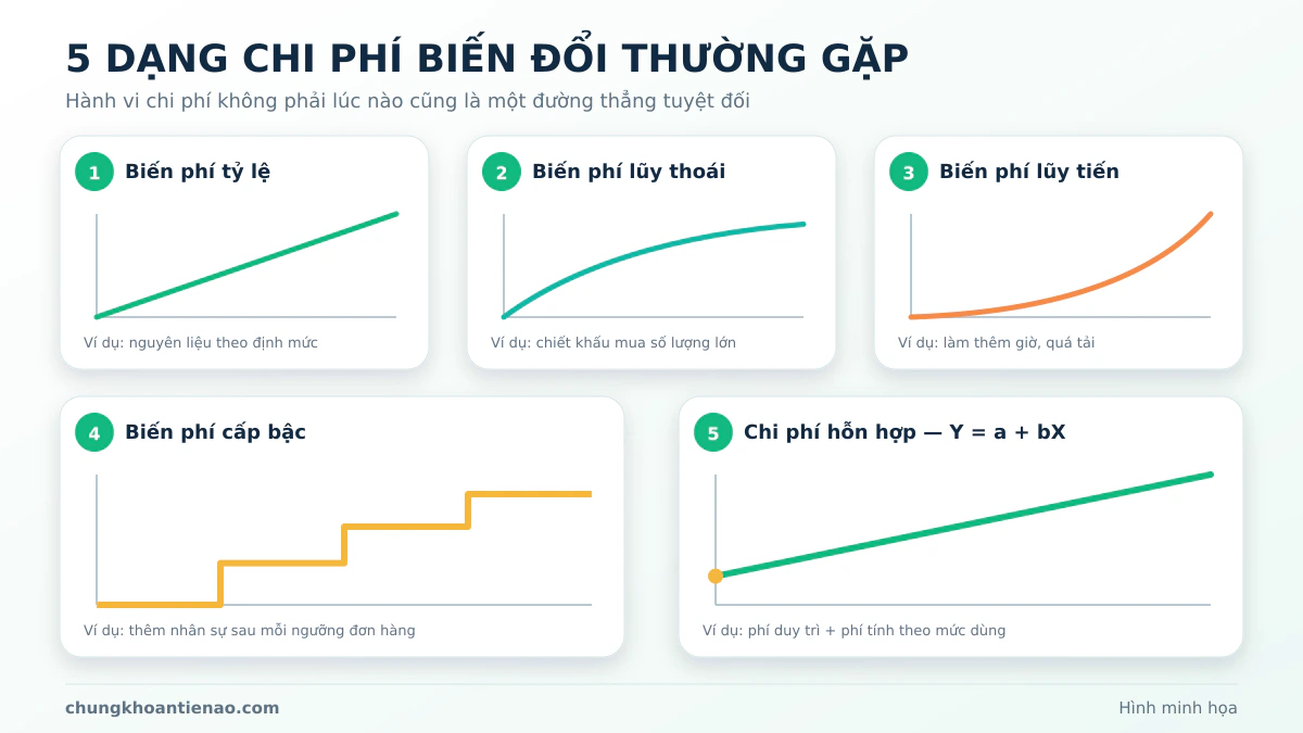 Các dạng biến phí tỷ lệ, lũy thoái, lũy tiến, cấp bậc và chi phí hỗn hợp