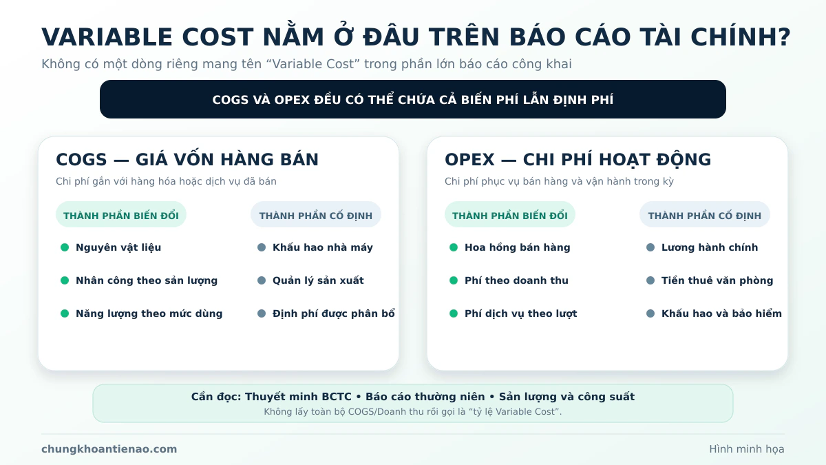 Chi phí biến đổi có thể nằm trong COGS và OPEX trên báo cáo tài chính